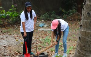 Tree Plantation Drive 3